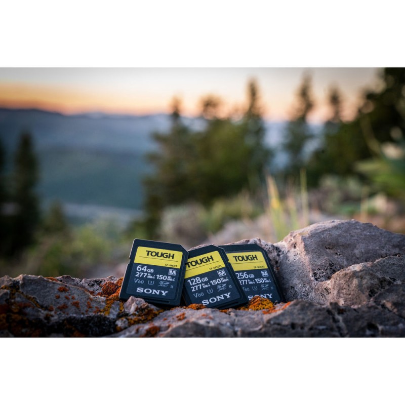 Карта памяти Sony SF-M Series UHS-II SDXC 512 Гб R/W 277/150 МБ/с SF-M512/T2