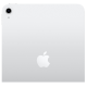 Планшет iPad 10.9 2022, LTE, 64 Гб, серебристый