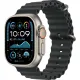 Смарт-часы Apple Watch Ultra 2 2024, 49 мм, LTE, Natural Titanium Case with Black Ocean Band, титан серый с черным ремешком
