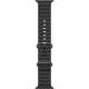 Смарт-часы Apple Watch Ultra 2 2024, 49 мм, LTE, Natural Titanium Case with Black Ocean Band, титан серый с черным ремешком